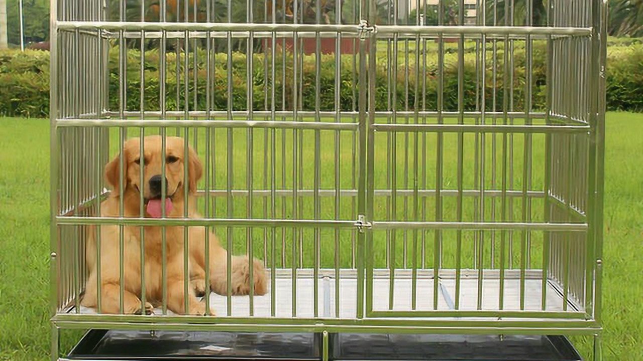 家乡|农村失传手艺 铁丝编制狗笼子