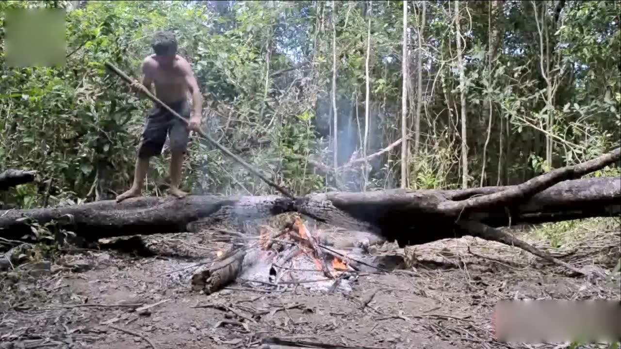 澳洲小哥徒手种植木薯,刀耕火种体验原始生活_高清1080P在线观看平台_腾讯视频