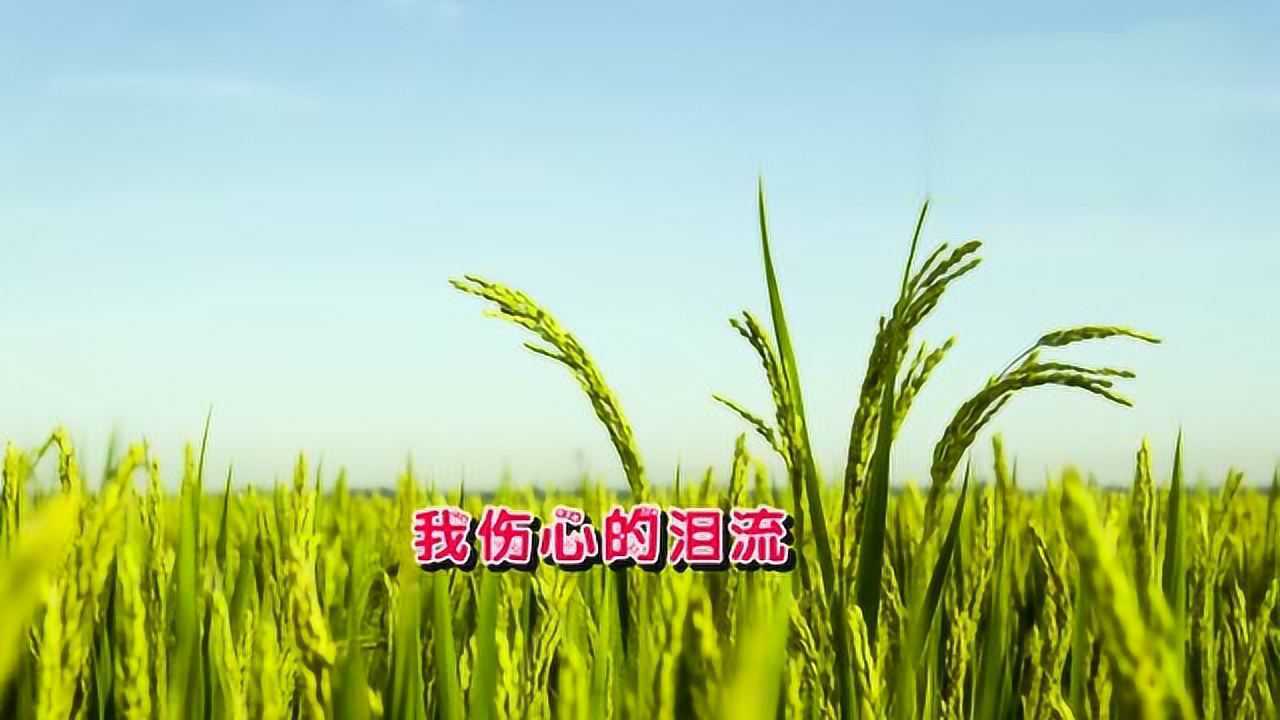 龙梅子新歌《水倒流》逆流而上的感动