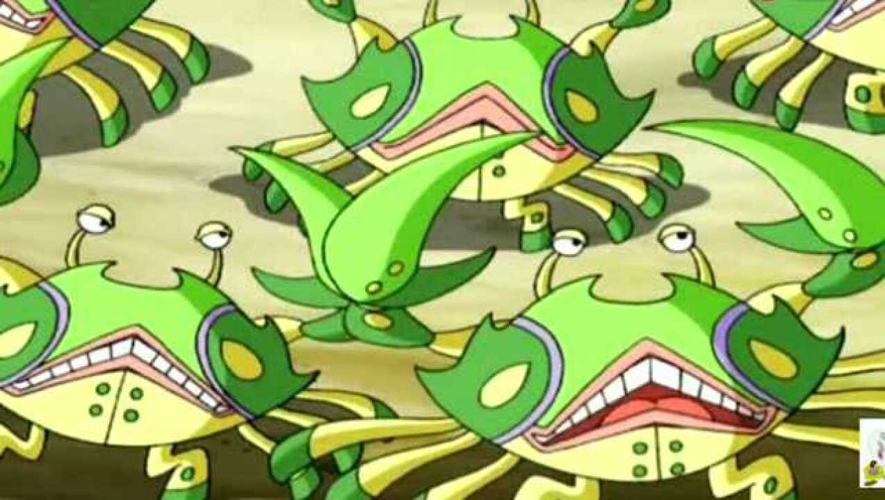 神兵小将南宫问雅向晒太阳的螃蟹道歉问雅好有礼貌呀