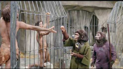 惊人 人类成为猩猩的奴隶 《猩球崛起》结局出现在另一部电影里