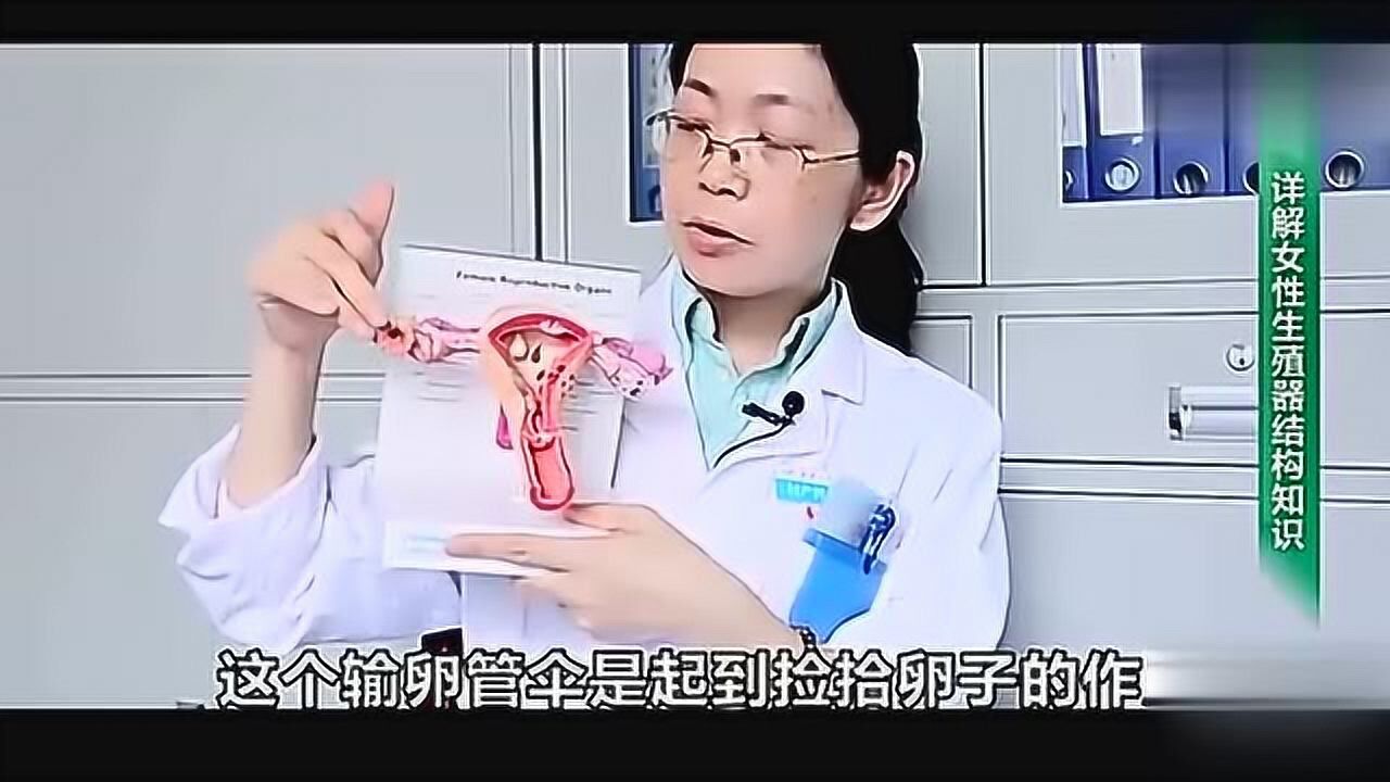 女性生殖器原来是这样的，带你了解女性身体构造，保护女性健康_腾讯视频