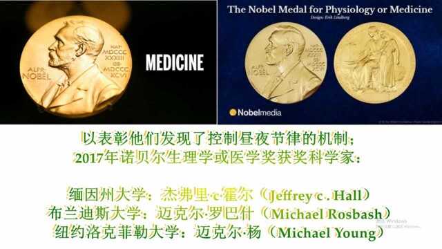 官方详析:2017年诺贝尔生理学或医学奖