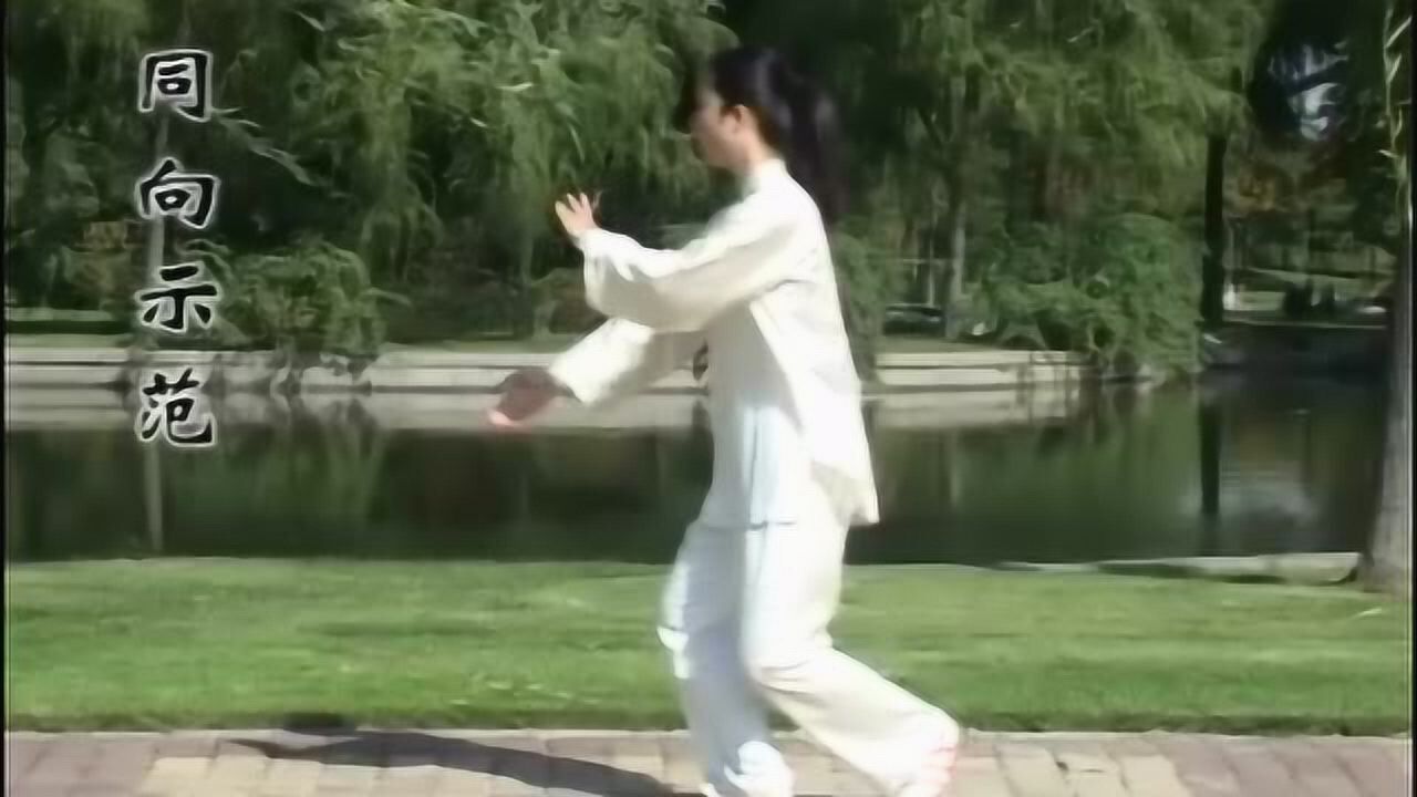 邱慧芳42式太极拳分解教学之14转身推掌_高清1080P在线观看平台_腾讯视频