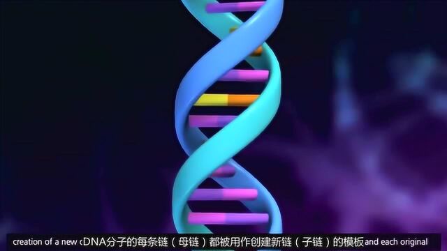 3D动画演示DNA复制原理,生物进化真是一个奇迹_腾讯视频