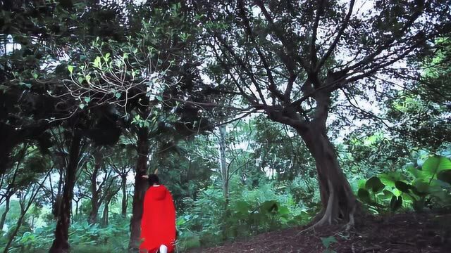 印象宝贝微电影-迷失森林