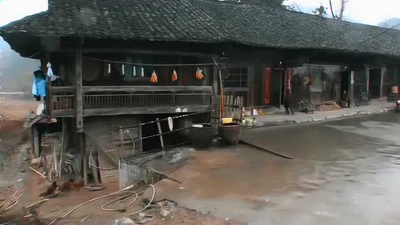 变形计顾苏城带儿子陷入狂买模式顾家谦超满足今天超满足