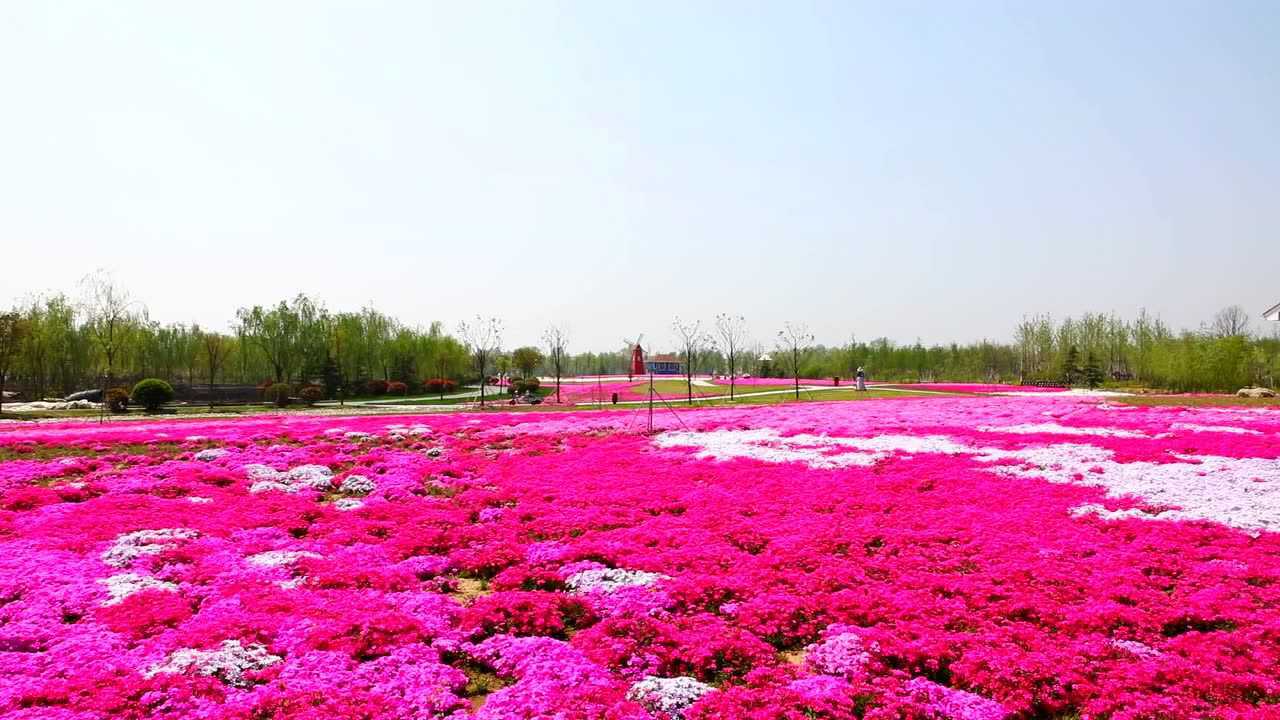 赣榆丝路小镇 世界入画