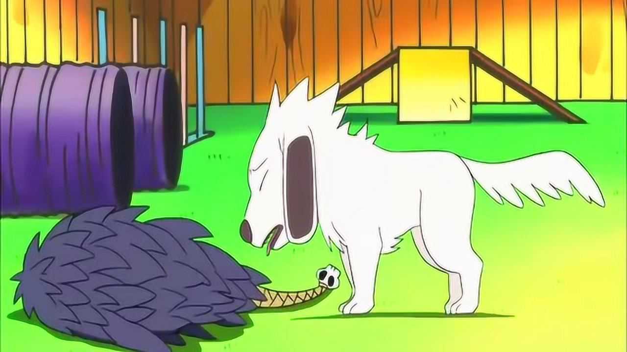 赤丸和鲛肌成了朋友