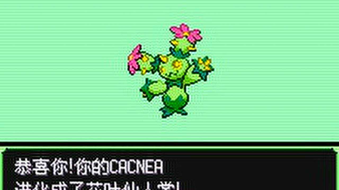 【口袋妖怪】沙漠奈亚进化舞铃仙指花