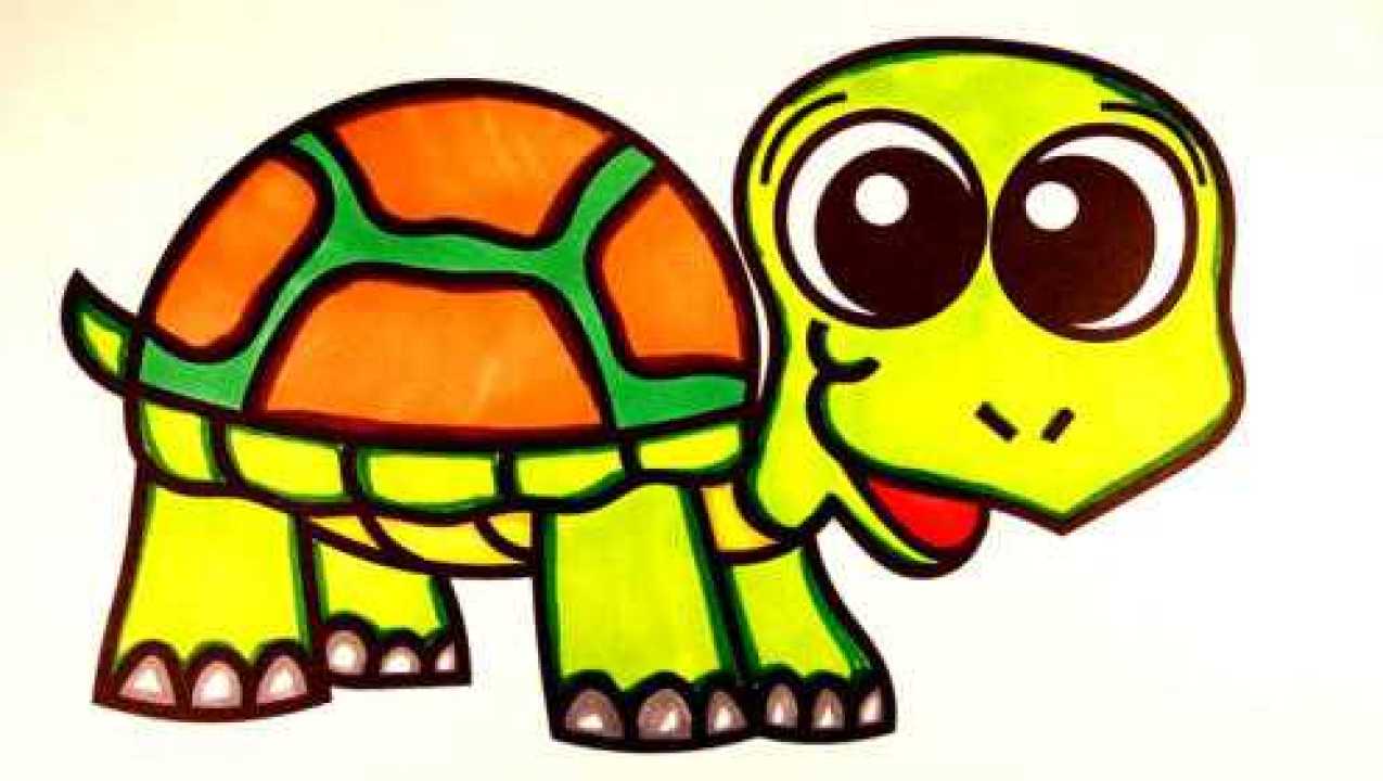 乌龟简笔画卡通彩色图片