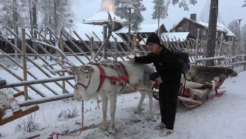 穿越欧亚大陆第十一集：在芬兰的罗瓦涅米，看到了童话中的驯鹿