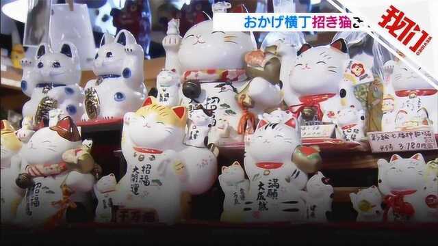 3万只招财猫大集合!日本召开“招财猫节”吸引大批游客