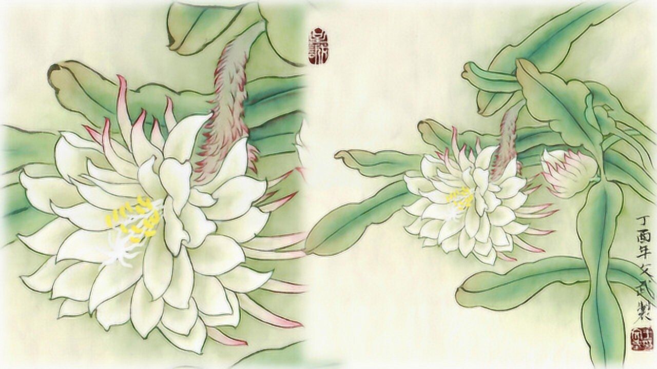 工笔画基础教程昙花的染法上集