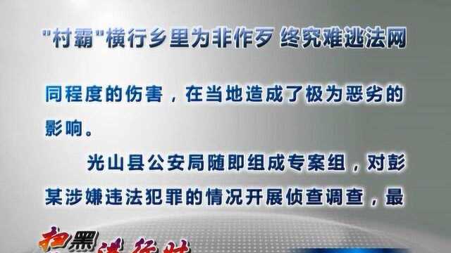 光山县“村霸”横行乡里为非作歹 终究难逃法网