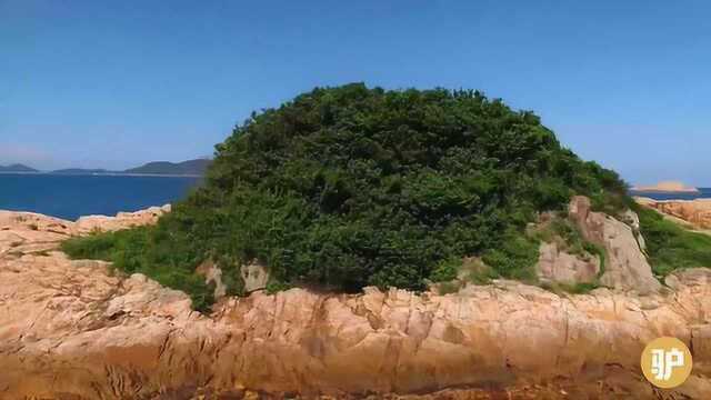 实拍香港最好玩的岛屿,很多人在那潜水露营好玩至极,称为绿蛋岛