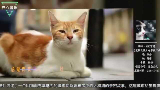 养猫人士的最爱, KiKi富妍献唱《爱猫之城》主题曲! !