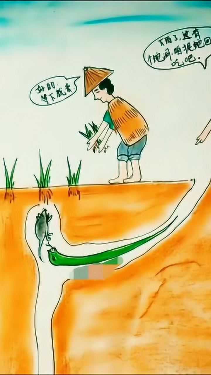 他们要抓蛇却不知蛇吃了老鼠帮他们保护着庄稼地