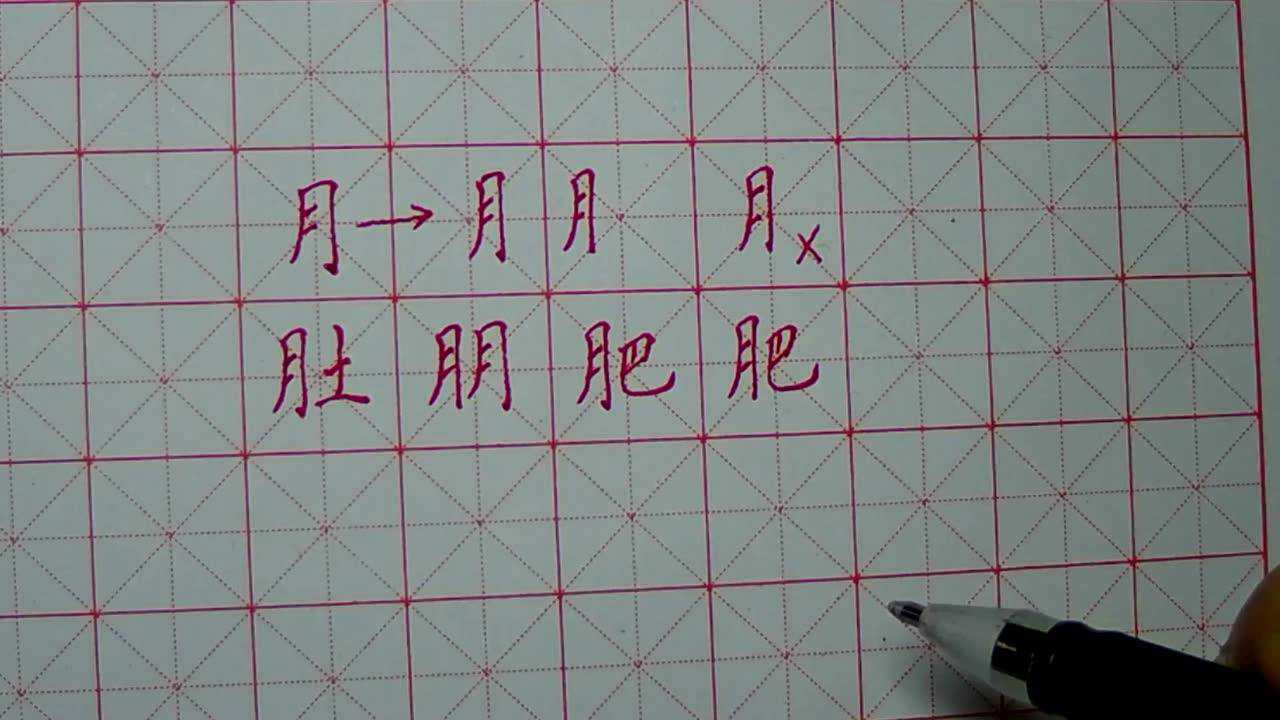 硬笔书法 左右结构 月字旁 月_腾讯视频