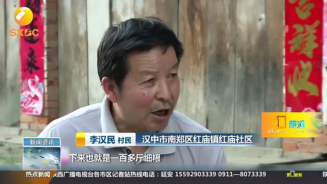 改革开放40周年 南郑铁匠街:“包产到户”第一村1