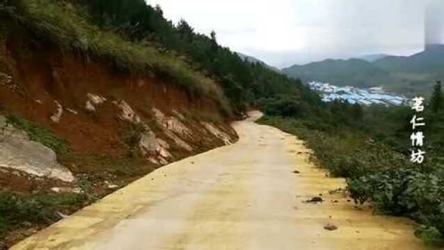 农哥走进大四川,来看看山区养羊基地,规模太壮观了!