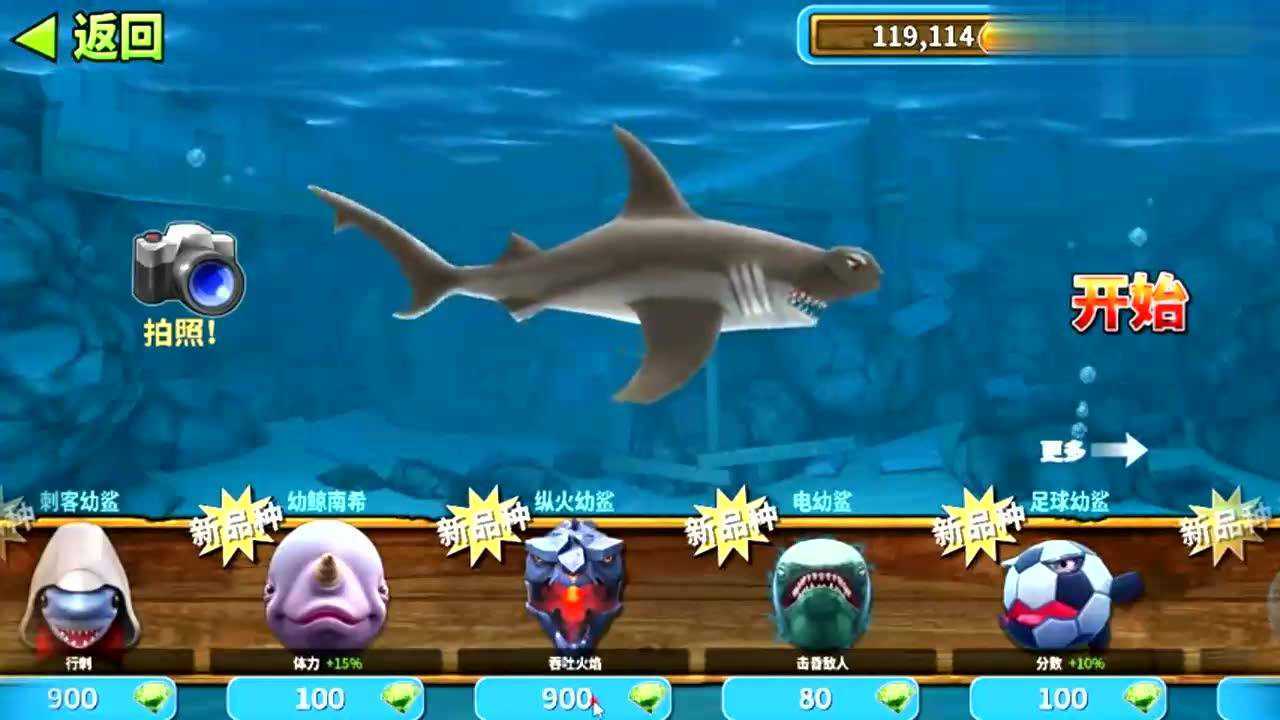 饥饿鲨进化:锤头鲨居然飞上天空!