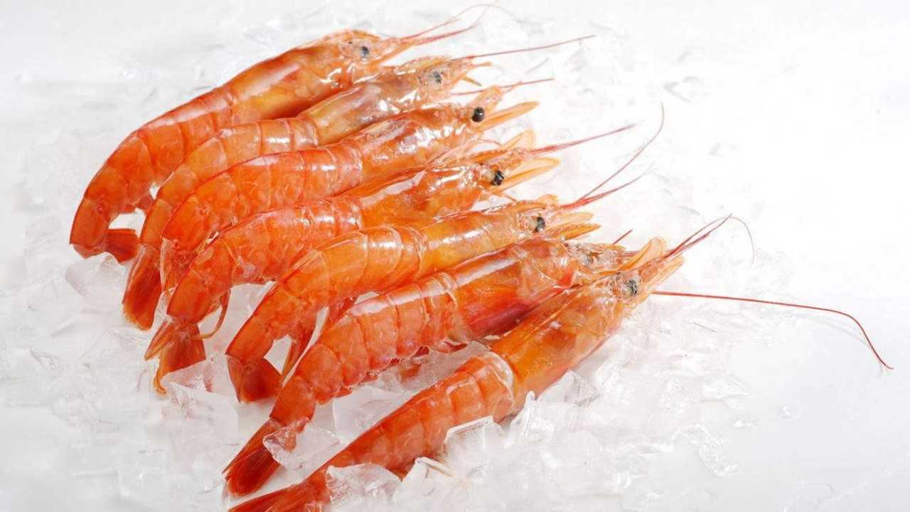 虾与什么食物相克虾不能和什么一起吃你知道吗