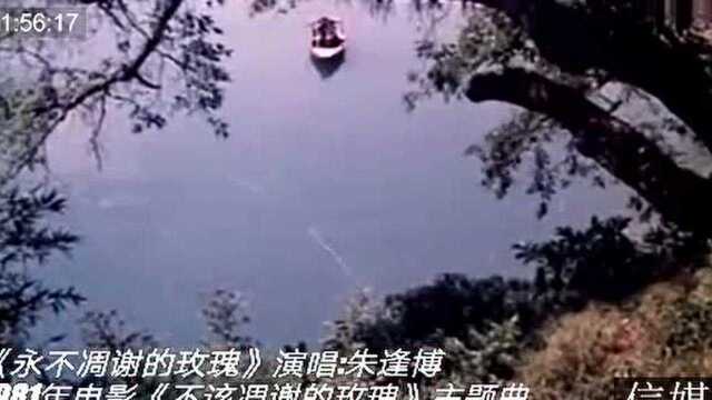 淘歌:老电影《不该凋谢的玫瑰》主题曲《永不凋谢的玫瑰》朱逢博