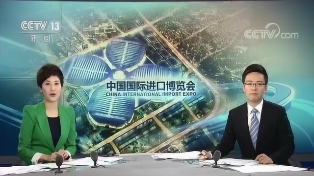 中国国际进口博览会即将开幕 上海绿化焕然一新