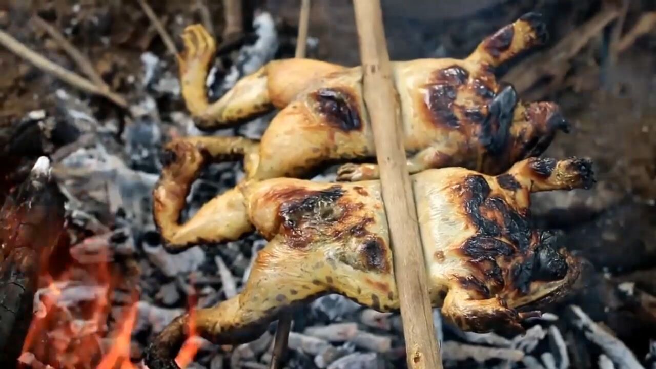 腾讯视频-中国领先的在线视频媒体平台,海量高清视频在线观看