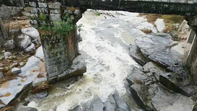 福建省莆田市仙游县龙华镇金沙村千年古樟后面通往永春的安平桥