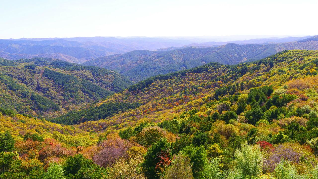 航拍子午岭沟壑纵横的原始森林改变一下你对黄土高原的看法