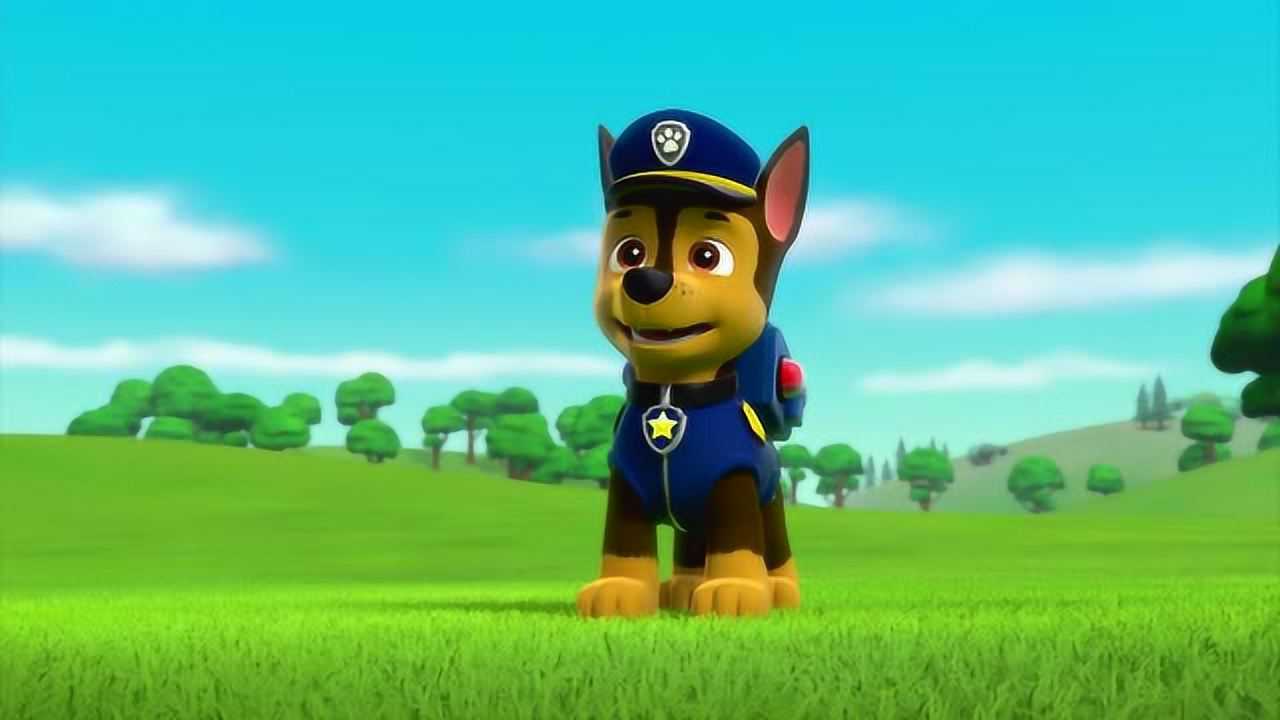 汪汪队:阿奇真的赶羊成功了