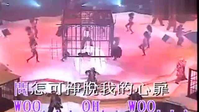 精选歌神天王劲爆音乐舞曲张学友野猫之恋