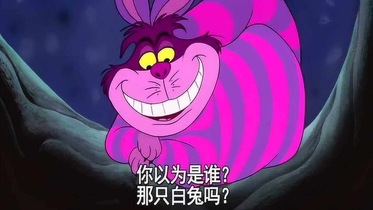 爱丽丝梦游仙境妙妙猫总是能在关键时刻出现羡慕