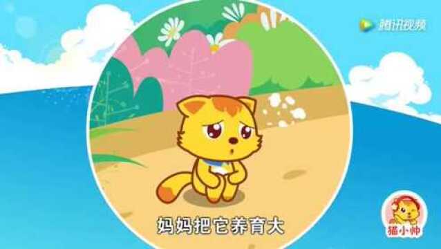 第508集:小乌鸦爱妈妈