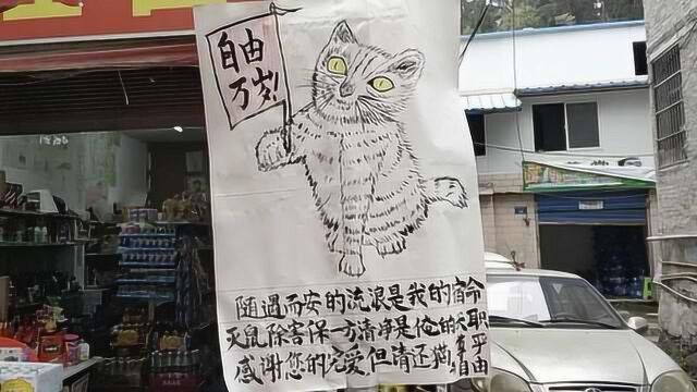 超萌寻猫启事!爱猫被偷,大妈作画为它代言:还我自由