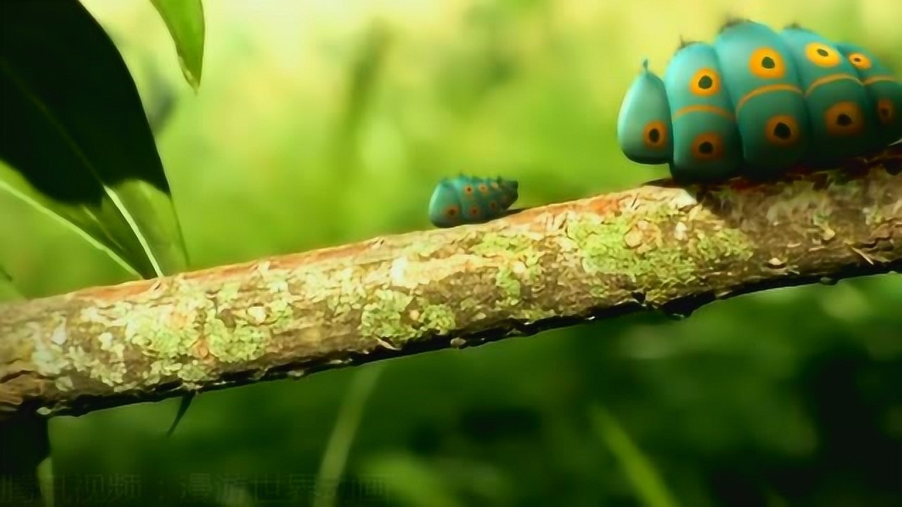 昆虫总动员一胖一瘦毛毛虫兄弟吃苹果吃亏的总是瘦子