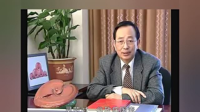 北京大学林志彬教授——灵芝治疗慢性支气管炎