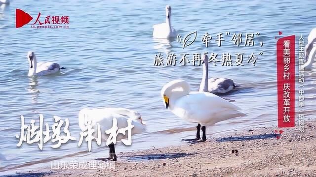 美丽乡村ⷥ𑱤𘜮Š烟墩角村:天鹅渔村渔家乐 百年海草屋变民宿