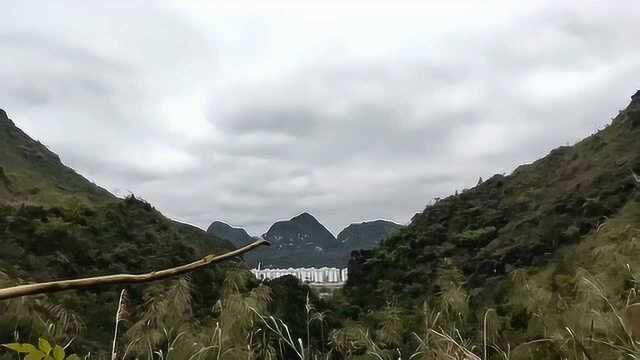 和瑞风水网观音盘坐宝地,风水大师寻龙点穴阴宅祖坟墓地风水视频