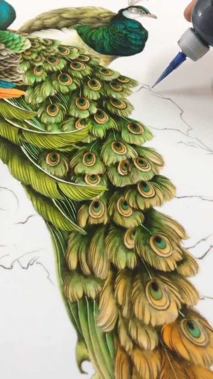 果酱画 画个超级好看的孔雀