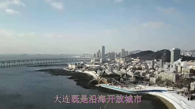 大连是东北地区唯一的保税区和高新技术园区