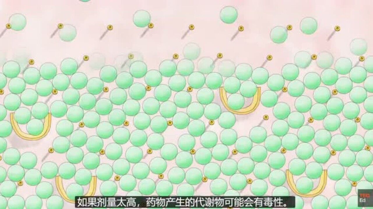 药物在体内的过程，止疼药的作用_高清