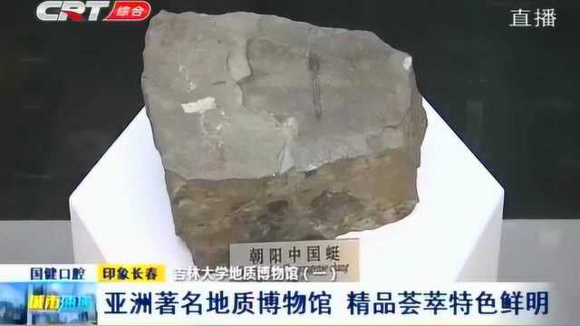 始建于1952年,成立面积1500平方米,带你走进吉林大学地质博物馆