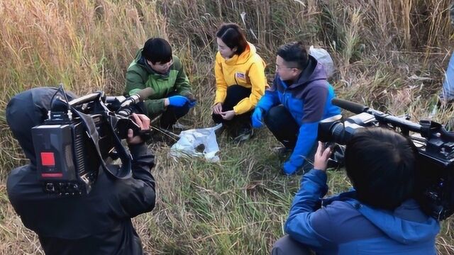 远方的家 江西鄱阳湖国家级自然保护区湿地秋色美如画