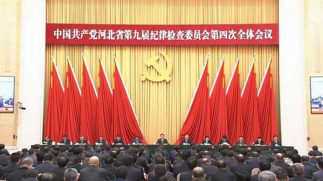 中国共产党河北省第九届纪律检查委员会第四次全体会议决议