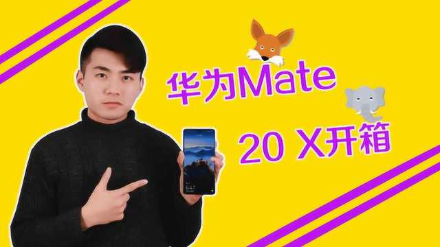 畅爽大屏!华为mate20X大评测!