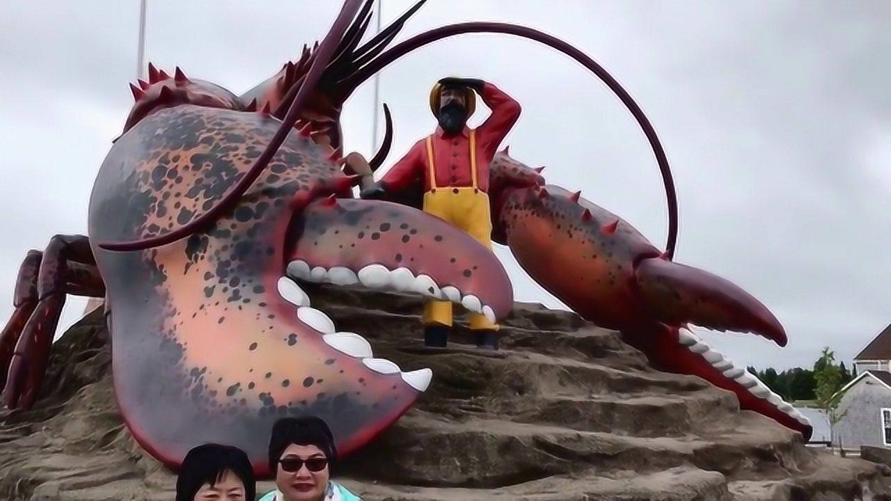 世界上最大的龙虾有多大?一只虾钳就和成年人胳膊一样粗