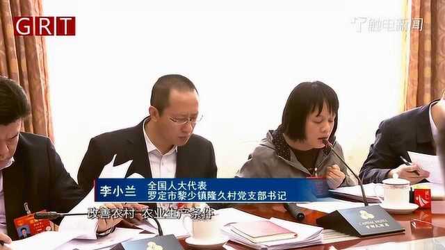 全国人大代表李小兰 :大力推广小型多功能复合农业机械